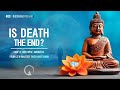 Buddhism Podcast |  Is Death the End? - Zen Master Thich Nhat Hanh Answers