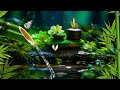 Nature Sounds, Romantic Music, Beautiful Relaxing Music, Sleep Music, Music Helps Stress Relief