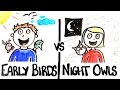 Download Early Birds vs Night Owls mp4 3gp mp3 videos - waplic
