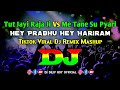 Tut Jayi Raja Ji Vs Me Tane Su Pyari & Hey Prabhu Hey Hariram - Dj | Tiktok Viral Dj Mashup Remix |