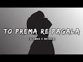 To Prema Re Pagala Mu Aji (Slowed+Reverb) Lofi Song | Humane Sagar | Odia Lofi Songs