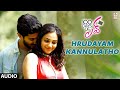 Hrudayam Kannulatho Audio Song l 100 Days Of Love ll Dulquer Salmaan, Nithya Menen, Govind Menon