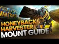 Honeyback Harvester's Harness Bee Mount Guide in World of Warcraft