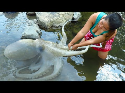 Primitive survival skills finding big Squid at River cooking Squid eating delicious 09 