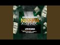 Akhona Ama Nigeria (Remix)