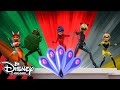 Miraculous Ladybug | All the Transformations So Far! 😱 | Disney Channel UK