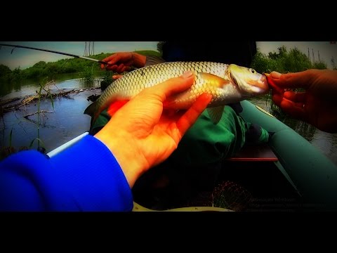видео ловля щуки на хопре видео ловля щуки на хопре