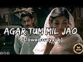 Agar Tum Mil Jao (Slowed Reverb) Sad Lofi Mp3 Lofi Mix #trending #youtube #viralvideo