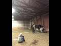 Girl acts sad to see how her horse will react.