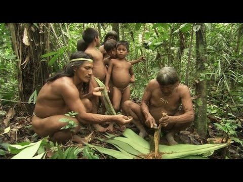 Документальные Фильмы Секс В Диких Племенах