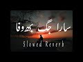 Sara jag Bewafa koi kise da vi nahi slowed Reverb Saraiki Punjabi song