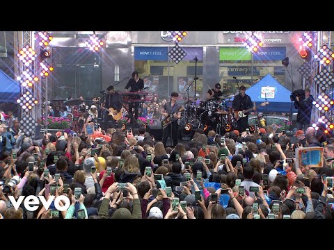 Download Shawn Mendes - In My Blood (Live On The Today Show) free