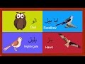 Learn Birds Names for Kids in Urdu | پردو کے نام | Birds Song and More | Urdu Rhymes Collection