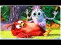 ANGRY BIRDS 2 Best Action Scenes 4K ᴴᴰ