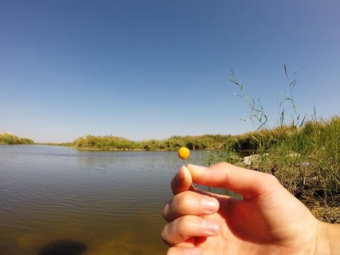 ловля карпа на горох крючки ловля карпа на горох крючки