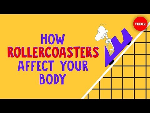 How rollercoasters affect your body Brian D. Avery