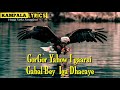 Farxiyo Fiska, "Gorgor yahoow I Gaarsi "Official video lyric