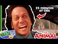 ROB SCHNEIDER being an ANIMAL for 25 minutes | The Animal Compilation
