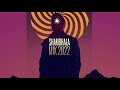 Defunk - Shambhala Festival 2022 Set (Visual + DJ Set)
