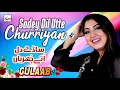 Sadey Dil Utte Churriyan | Gulaab | 2021 Latest Pakistani Punjabi Saraiki Song | Hi-Tech Music