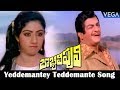Bobbili Puli Movie Songs - Yeddemantey Teddemante Video Song | NTR, Sridevi
