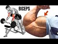 10 BEST BICEPS WORKOUT AT GYM TO GET BIGGER ARMS FAST