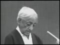 What do you mean by insight and is it a momentary thing or can it be continuous? | J. Krishnamurti