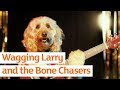 Wagging Larry and the Bone Chasers | Sainsbury's