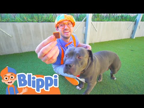 Blippi Learns About Animals For Kids At The Animal Shelter Educational Videos For Toddlers