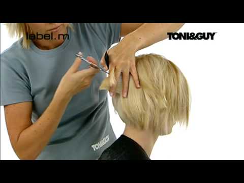 Техника стрижки toni and guy Техника стрижки toni and guy