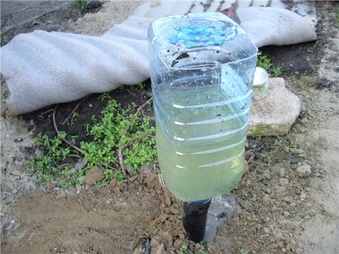 Полив капля своими руками Полив капля своими руками