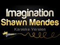 Shawn Mendes - Imagination (Karaoke Version)