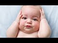 Try Not to Laugh at the Cutest and Funniest Baby Videos!
