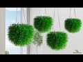 How to Grow Grass Like a Hanging Ball Without Maintenance | Hanging Plants Ideas//GREEN PLANTS