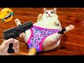 Best Funniest Animal Videos 2024😻🐕‍🦺Funny Dogs And Cats Videos Of The year😻#4