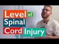 Spinal Cord Injury | Levels of injury