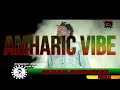 Amharic vibe | Ethiopian | Oromo | Somali mixtape | DJ PUKI