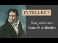 Schopenhauer: Why Society Hates Intelligence | Counsels & Maxims 34
