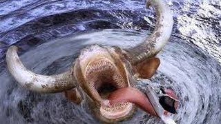 Truth Behind Bermuda Triangle Mystery - Dajjal Arrival (Urdu / Hindi)