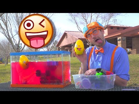 A Blippi Compilation of Educational Videos for Toddlers Sink or Float and more 