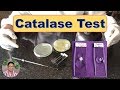 Bacterial Identification Tests: Catalase Test