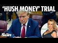 Donald Trump on trial over Stormy Daniels 'hush money payments'