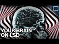 Why Does LSD Do Amazing & Terrible Things To Your Brain?