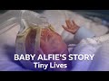 Premature Baby Alfie Arrives Three Months Early  | Tiny Lives Series 2 | BBC Scotland