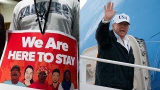 Truth And Lies Behind The “Amnesty Don” Kerfuffle: DACA Deal, Wall & Conservative Revolt