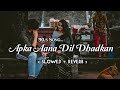 Aap Ka Aana Dil Dhadkana | Slowed + Reverb | 90,s Hindi Song | Alka Yagnik
