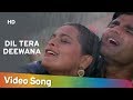 Dil Tera Deewana Hai | Mithun Chakraborty | Juhi Chawla | Raghuveer | Bollywood Songs | Kumar Sanu