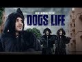 Dog's Life | Rocky Marwadi