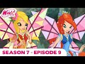 Winx Club - FULL EPISODE | The Fairy Cat | Season 7 Episode 9