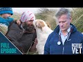 Saying goodbye to rescue dog who saved war hero's life | Rescue Vet with Dr Scott Miller